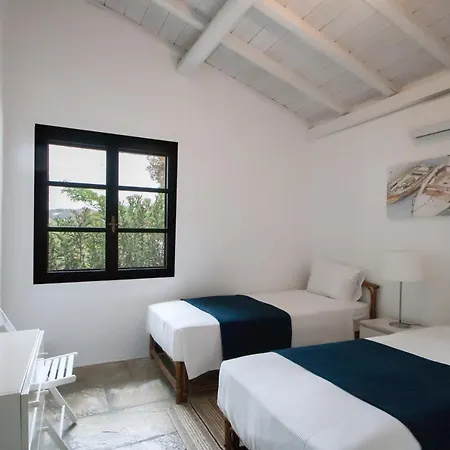 Azero Skiathos Villa *