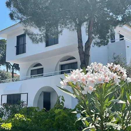 Azero Skiathos * Kolios